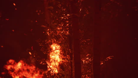 grandes llamas de incendio forestal