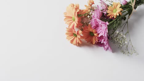 Video-of-bunch-of-multi-coloured-flowers-and-copy-space-on-white-background