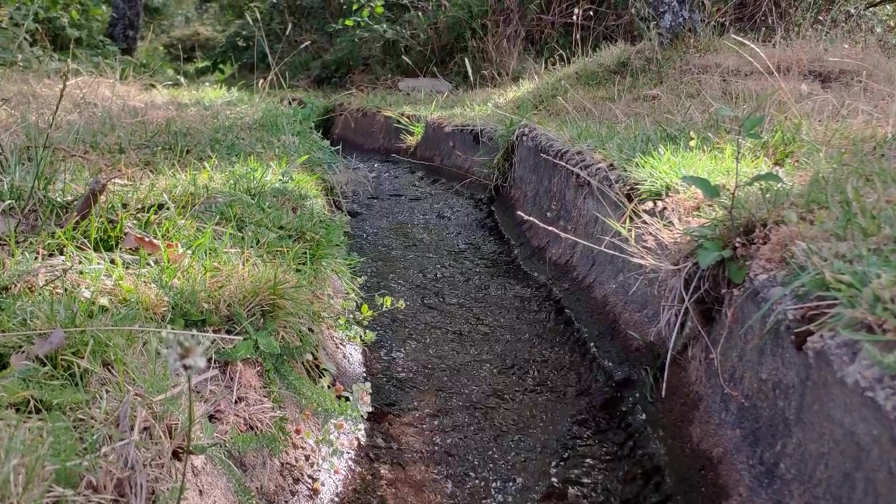 Clear water flows through narrow stone channel surrounded by grass and vegetation outdoors