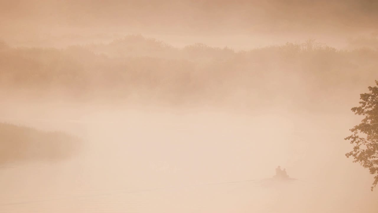 평온한 호수, 강, 그리고 은 나무 시 배에서 시하는 사람 여름 아침에 아름다운 안개가있는 일출. 시은 배에 있습니다. 러시아 자연.