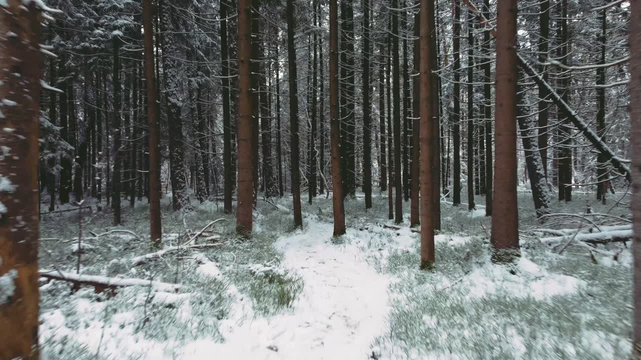 4K UHD aerial drone clip of a narrow snowy foot path surrounded by snow covered trees in a forest in winter in Bavaria, Germany