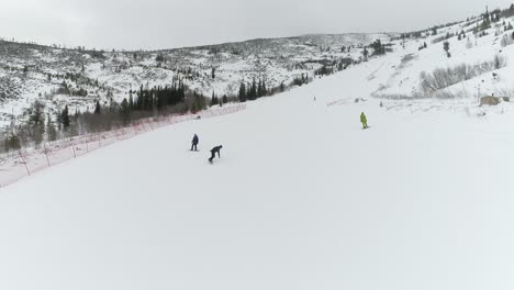 skiers enjoying thrilling skiing adventure