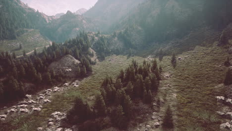 mountain path hiking to woods pathways