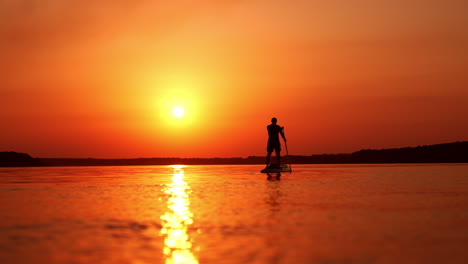 sup boarding on the river in summer. male silhouette floats on water standing on sup board and rowing with a paddle.