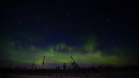 Wide-angle-view-of-pulsating-aurora