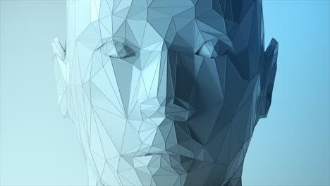 low poly human head