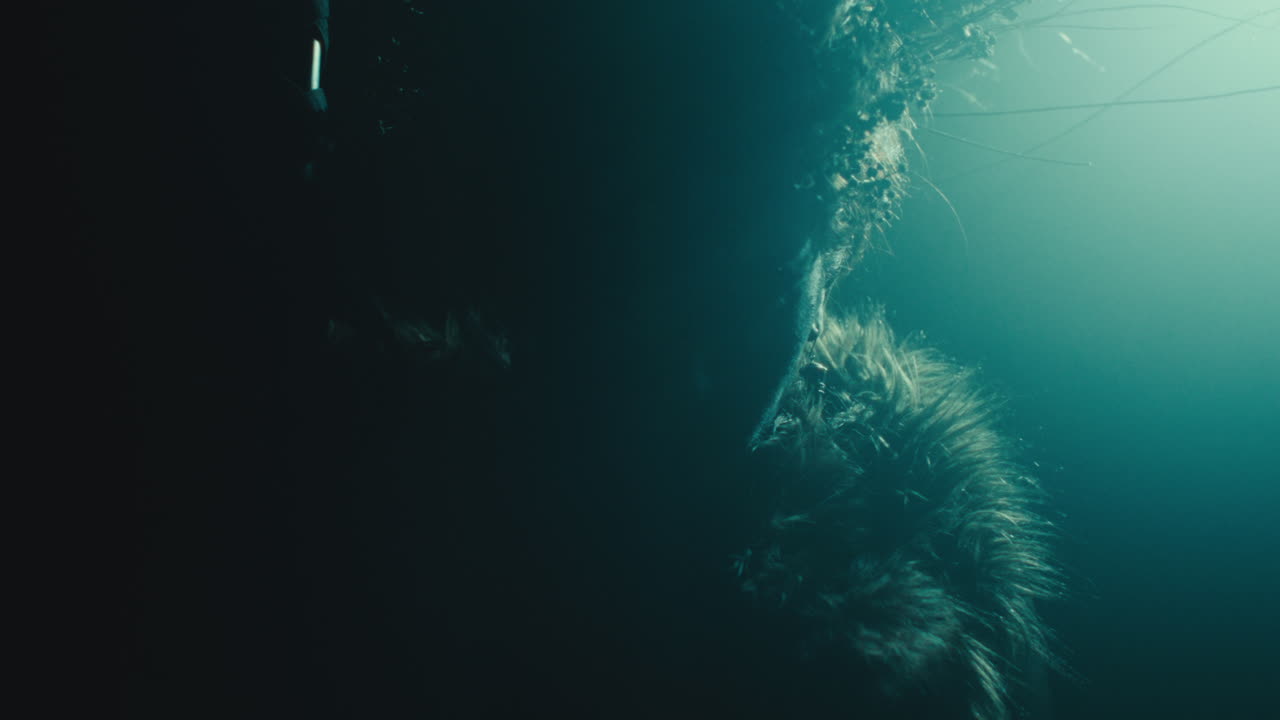 A creepy witch rises her head during the night storm