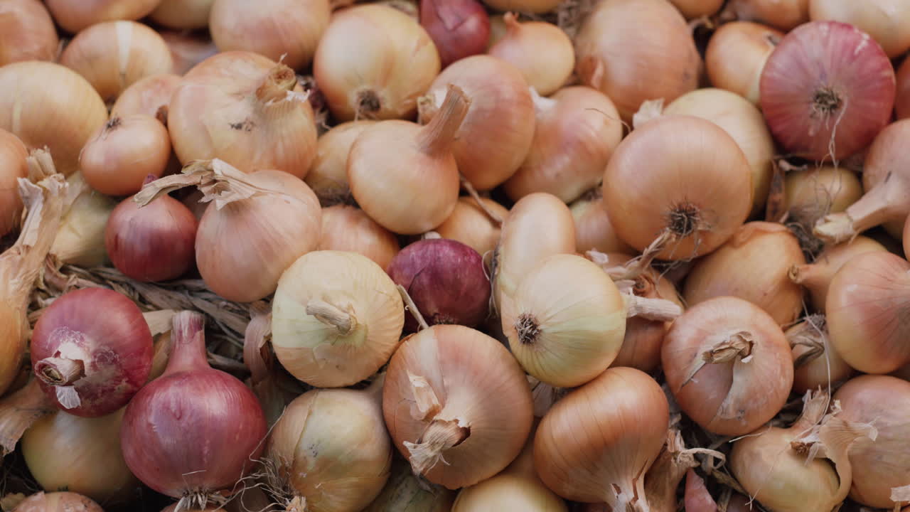 The harvest of onions lies on the ground 3