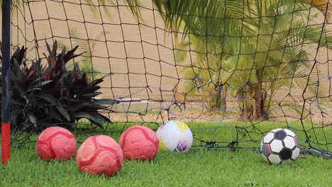 balones de fútbol descansando sobre la hierba