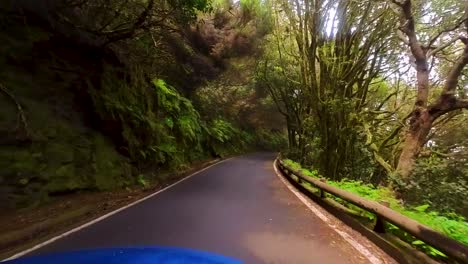 Conducción-De-Automóviles-Azules-En-Una-Carretera-De-Montaña-Con-Curvas,-Rodeada-Por-Un-Exuberante-Bosque-Tropical,-Punto-De-Vista-Del-Conductor,-Isla-De-Tenerife,-Islas-Canarias,-España