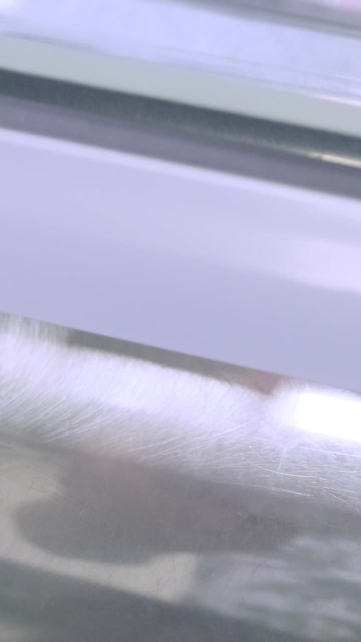 Close-up of a metallic surface