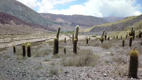 Paisaje-Desértico-Del-Noroeste-Argentino