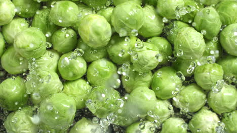 slow motion of fresh brussels sprouts falling and splashing on water surface