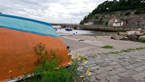 colorful boat by the sea and flowers