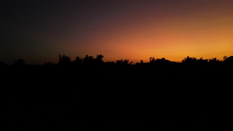Palmen-Wiegen-Sich-Vor-Dem-Orangefarbenen-Sonnenuntergangshimmel,-Abstrakte-Luftaufnahme