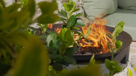 Fire-catches-dry-wood-chip-sheets-ablaze,-bush-foreground-and-outdoor-patio-couch-behind