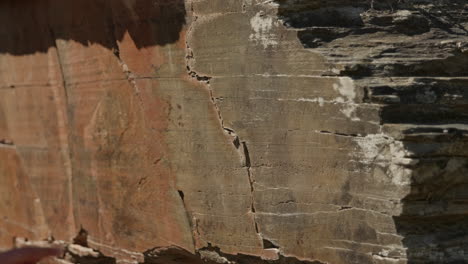 Archeologist-checks-rock-for-ancient-engravings