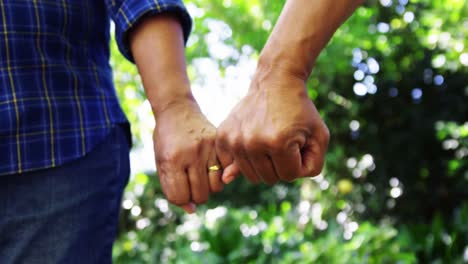 pareja de ancianos tomados de la mano