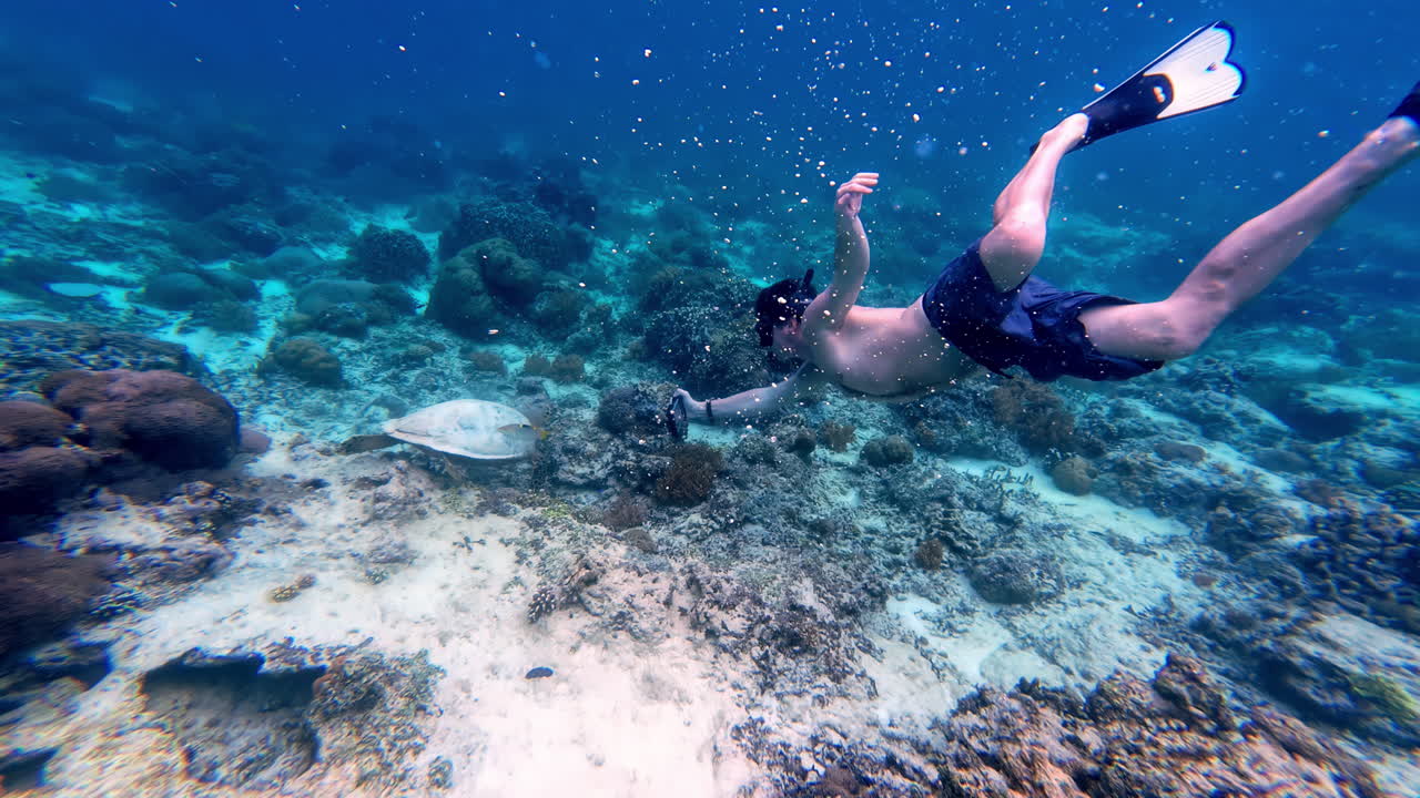 Underwater freediving tourist filming sea turtle paradise dive spot Gili Meno Indonesia ocean nature