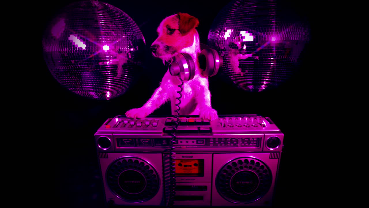 perro abstracto 4k 00