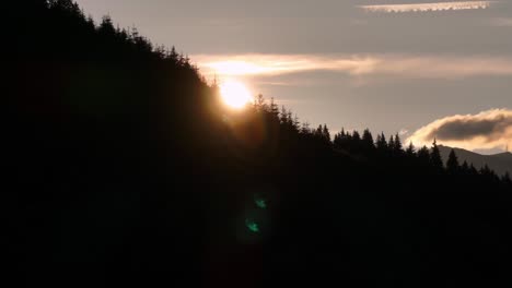 Ein-Wald-In-Völliger-Dunkelheit