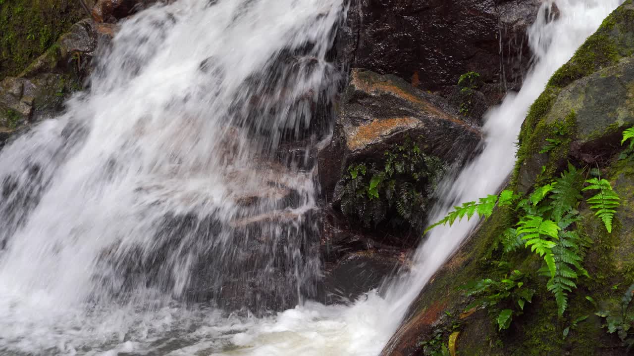 cerca de una hermosa cascada en la exuberante jungla
