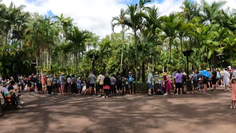 los espectadores se reúnen para un evento al aire libre entre los árboles.