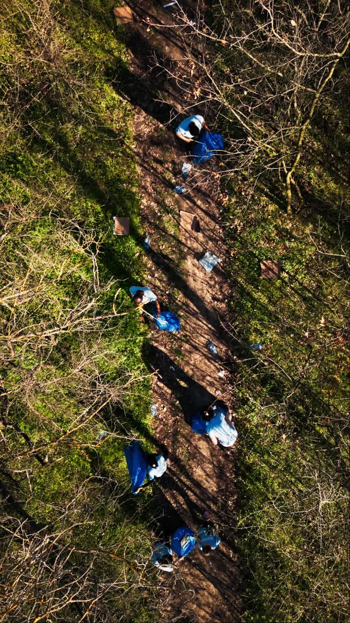 Aerial View of Volunteers Cleaning Up Litter in a Forest