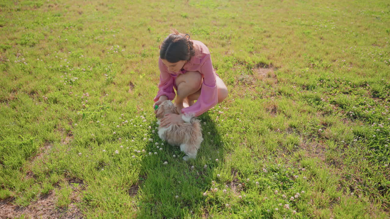 Woman Relaxing With Small Dog, Woman Gently Petting Her Puppy While Sitting In Meadow Sunlight, Woman Enjoying Peaceful Afternoon As She Strokes Her Puppy Under Warm Sunlight In Grassy Field
