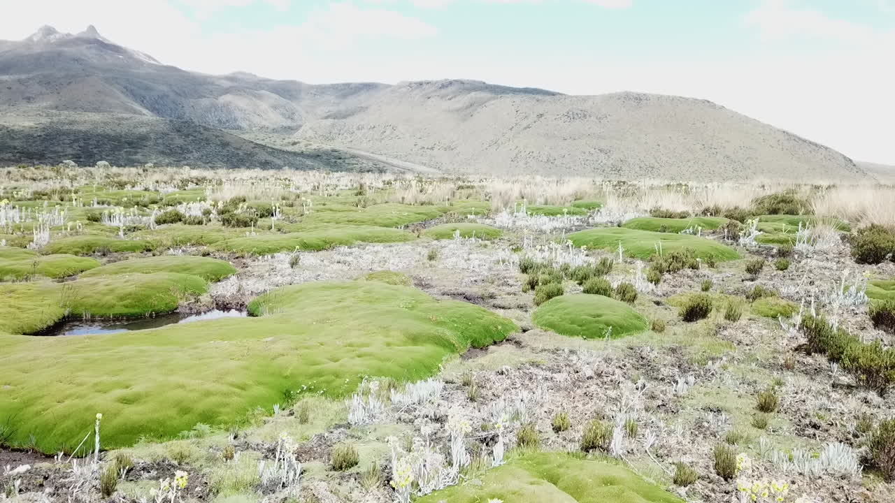 Drone flying low over grassland in a Colombian mountain range, South America