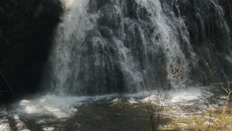 nestled within the lush embrace of the forest, a magnificent waterfall plunges gracefully, its cascading waters a symphony of nature's grandeur and serenity.