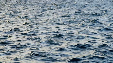 sunlight reflections on the rippling ocean water during sunset - close up