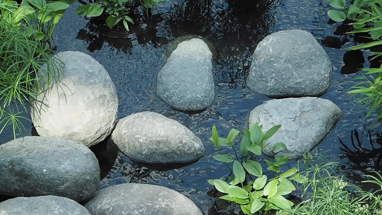 A serene garden pond with stones and plants
