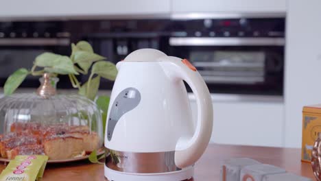 stylish electric kettle presented on countertop