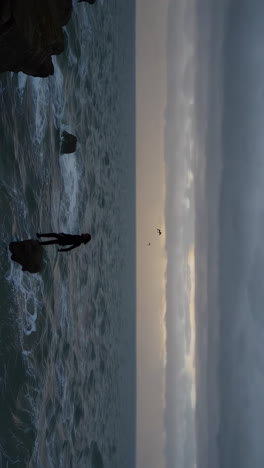 coastal scene with person and birds