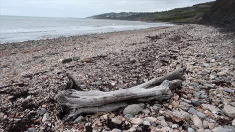 Abandoned-objects-on-a-shoreline-in-Dorset,-England