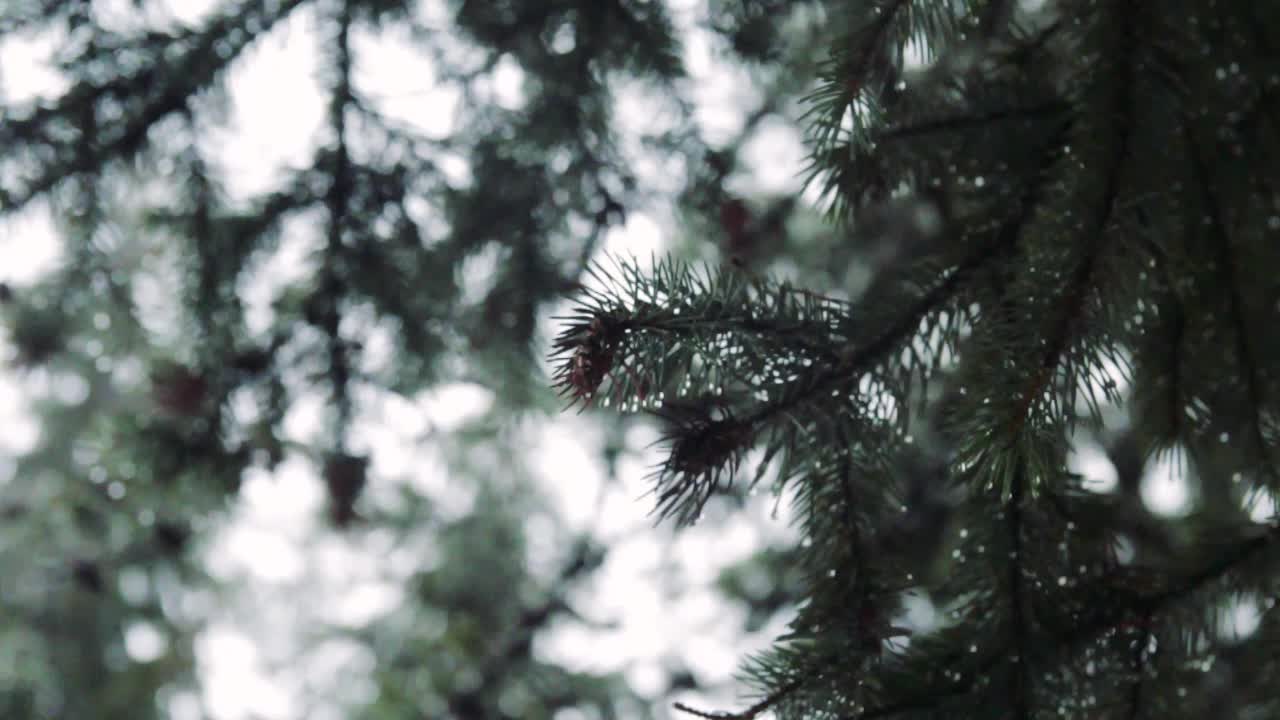 наступает сильный дождь.