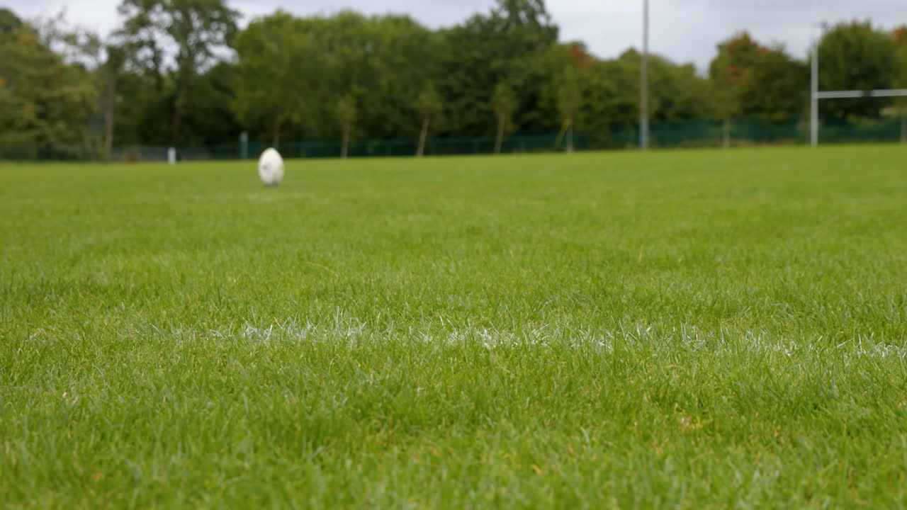 vista de una pelota de rugby