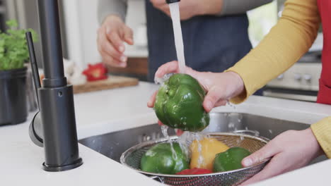 Glückliches-Kaukasisches-Lesbisches-Paar-Bereitet-Essen-In-Sonniger-Küche-Zu