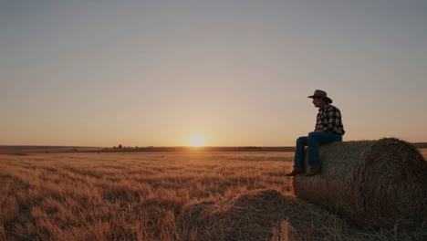 farmer at sunset