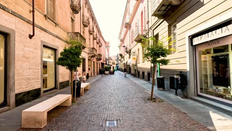 charming cobblestone street with shops and trees