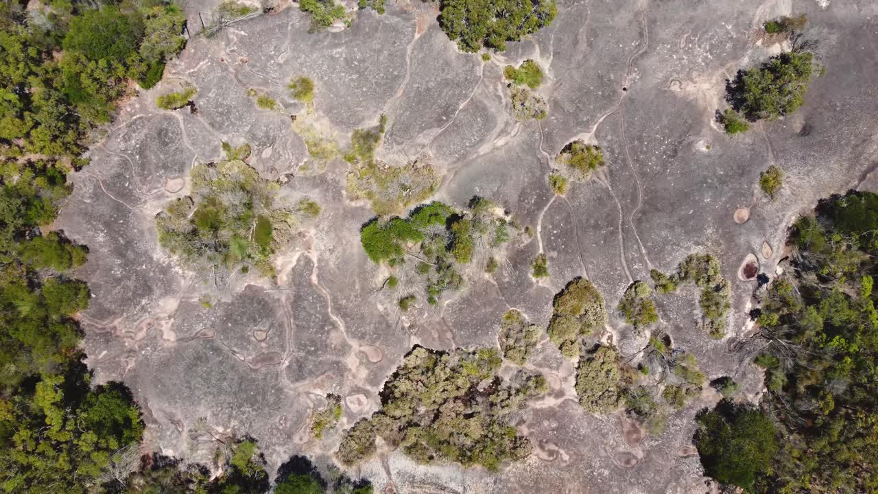 vista aérea de drones a vista de pájaro de la roca elefante en los matorrales patonga playa formación rocosa turismo costa central nsw australia 4k