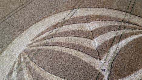 aerial view looking down over warminster 2023 crop circle mysterious cornfield pattern