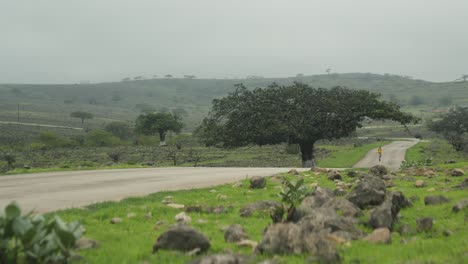 Montar-Un-Scooter-Eléctrico-En-La-Naturaleza-En-Una-Carretera.