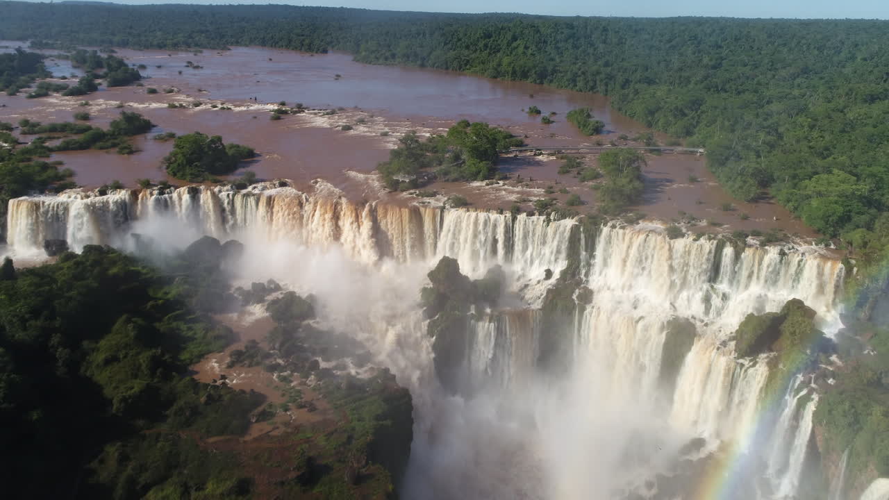 presenciando el espectáculo de la vida silvestre en medio de las maravillosas cataratas de iguazu