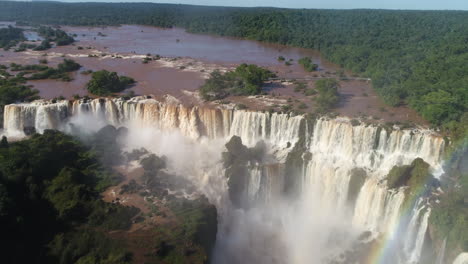 Presenciando-El-Espectáculo-De-La-Vida-Silvestre-En-Medio-De-Las-Maravillosas-Cataratas-Del-Iguazú