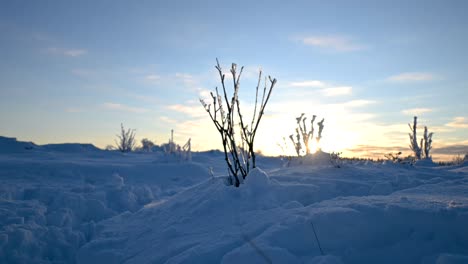 Hermoso-Timelapse-Paisaje-Nevado-Hora-Dorada-Puesta-De-Sol-Cielo-Azul-Silueta-De-árbol