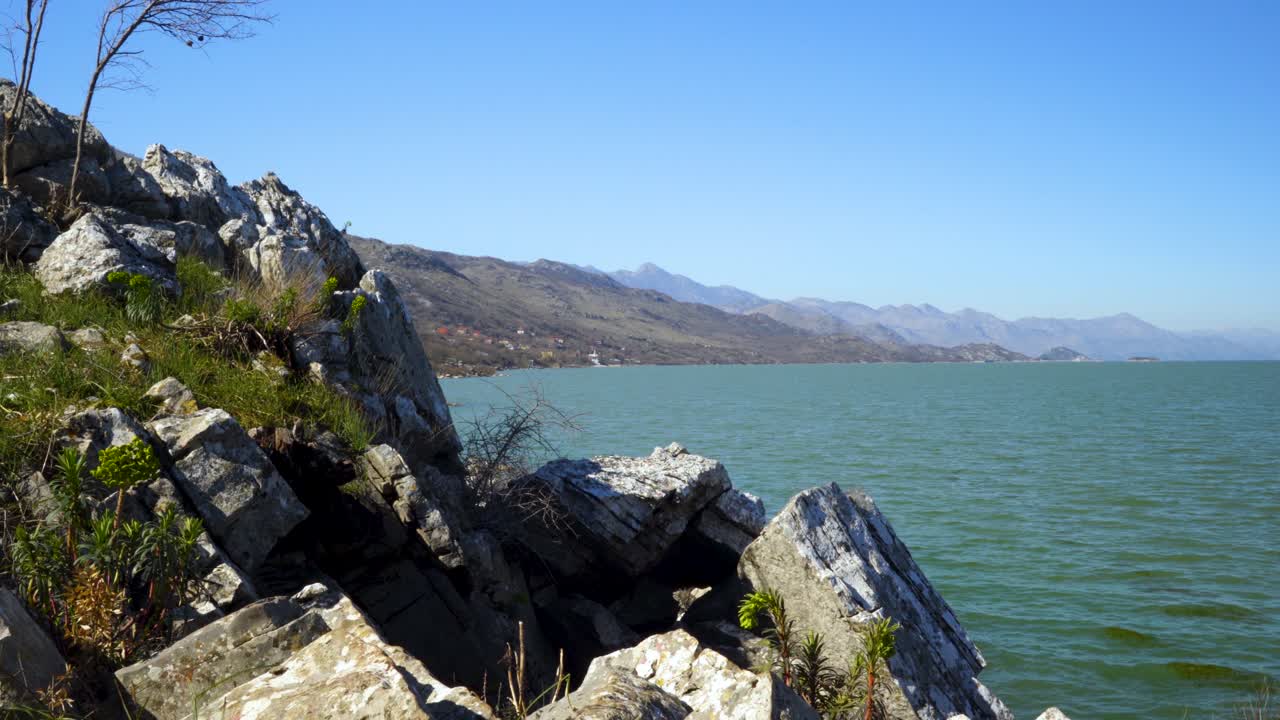 Rocky coastline of mountain lake with big cliffs and dry trees washed by vibrant water under clear blue sky in Scutari