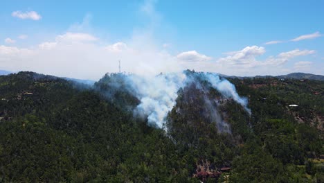montaña en llamas con árboles y vida silvestre en el verano, destrucción ambiental por parte del ser humano, fuego en las montañas