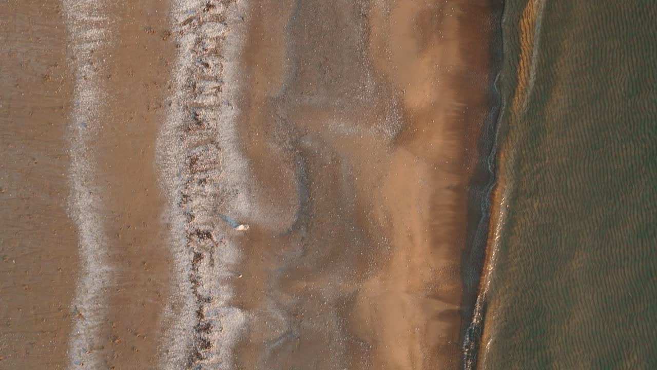 puesta de sol dorada sobre el lago huron con ondas suaves lavando la orilla